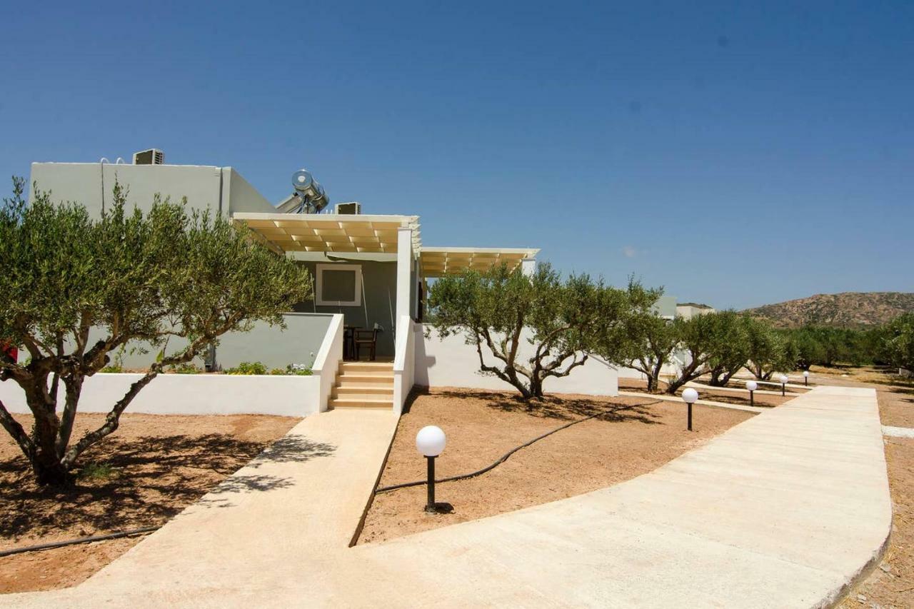 Giorgos villa Palaikastro Exterior foto